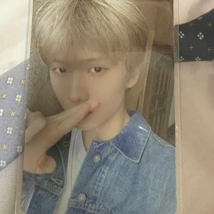 [BUNJANG] NCT Dream Jisung Photocard / **오늘만 이가격** NCT dream 지성 엔시티 드림 지성 포토카드 포카