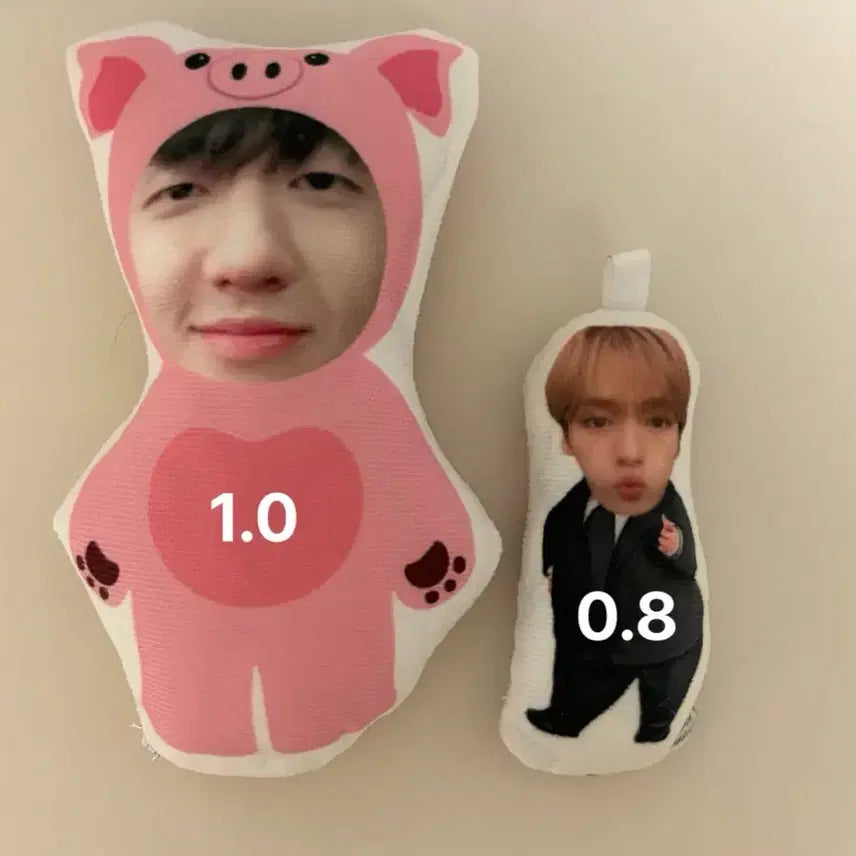 [BUNJANG] Stray Kids Lee Know Changbin Rabbit Doll / 리노 창빈 스키즈 스트레이키즈 인형 리빗 돼끼 비공굿 굿즈 스키주 서창빈
