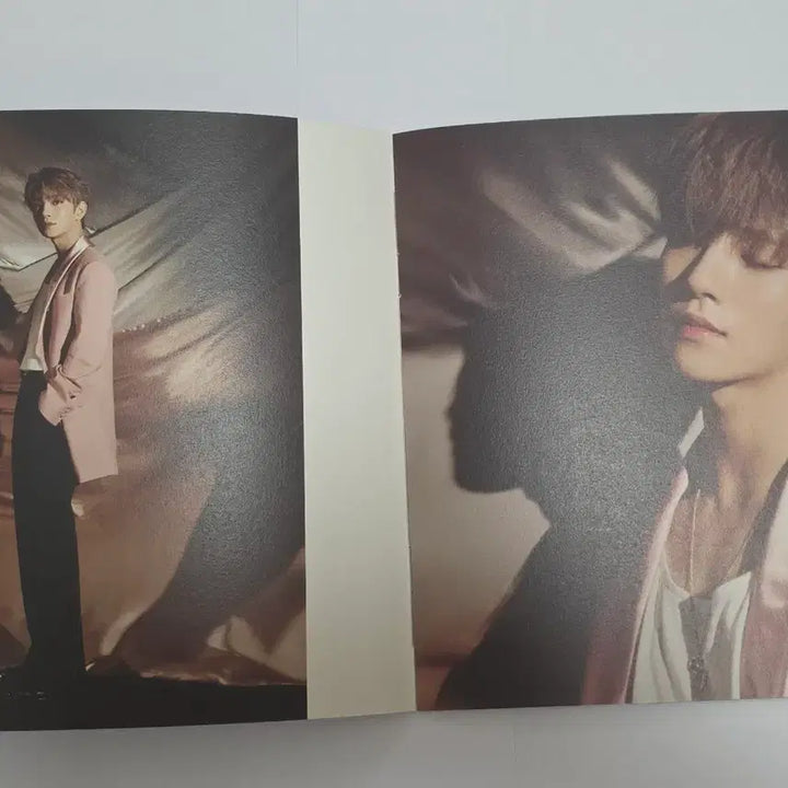 [BUNJANG] Seventeen Joshua Photocard Postcard Bundle Set / 탈덕처분 세븐틴 조슈아 포카 엽서 일괄
