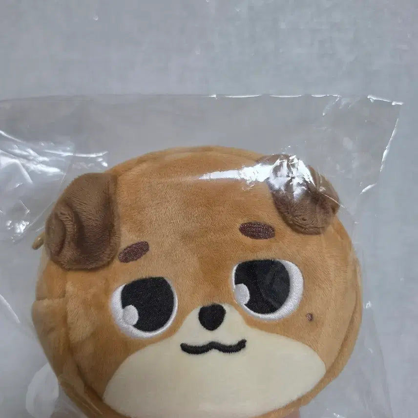 [BUNJANG] Day6 Dondown Pouch Forever Young Japan Goods / 데이식스 돈 도운 파우치 (포에버영 일본 굿즈)