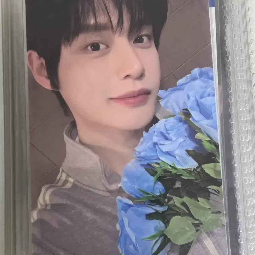 [BUNJANG] ZB1 Kim Ji Woong Cake Photocard / 김지웅 케이크 포카 제베원