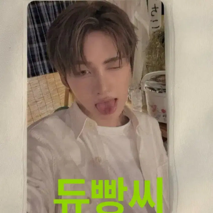 [BUNJANG] TWS Jihoon Weverse Japan Soda Soda POB Photocard (Sealed) / 미개봉) tws 투어스 지훈 위버스 재팬 소다소다 SODASODA 특전 포카 포토카드 미공포