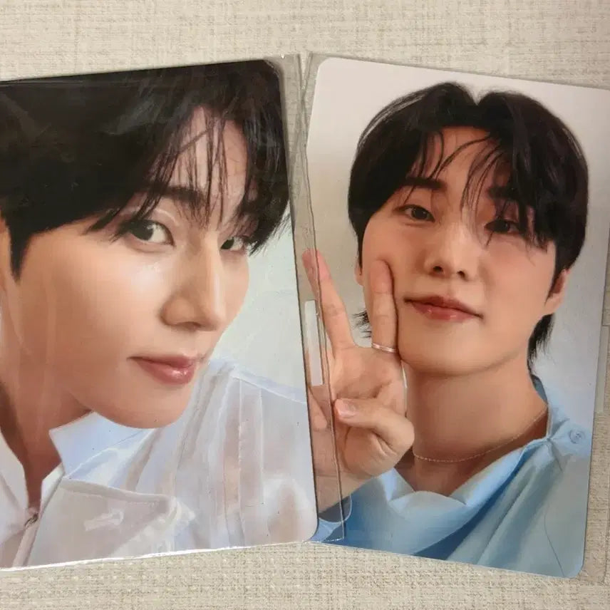 [BUNJANG] Young K Youngest Concert MD Bundle Set Photocard / 영케이 영기스트 콘서트 MD 온라인 굿즈 4만 포카 일괄