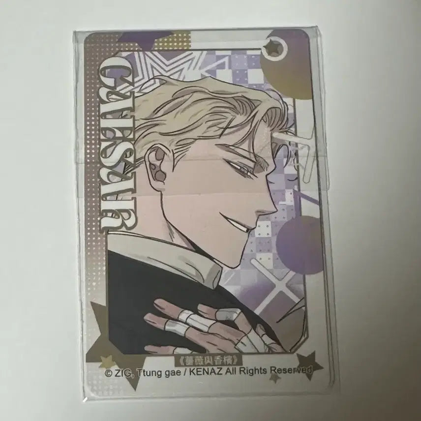 [BUNJANG] Jangsum Rose and Champagne Taiwan Kadokawa Lucky Draw Photocard / 장샴 장미와샴페인 대만 카도카와 특전포카