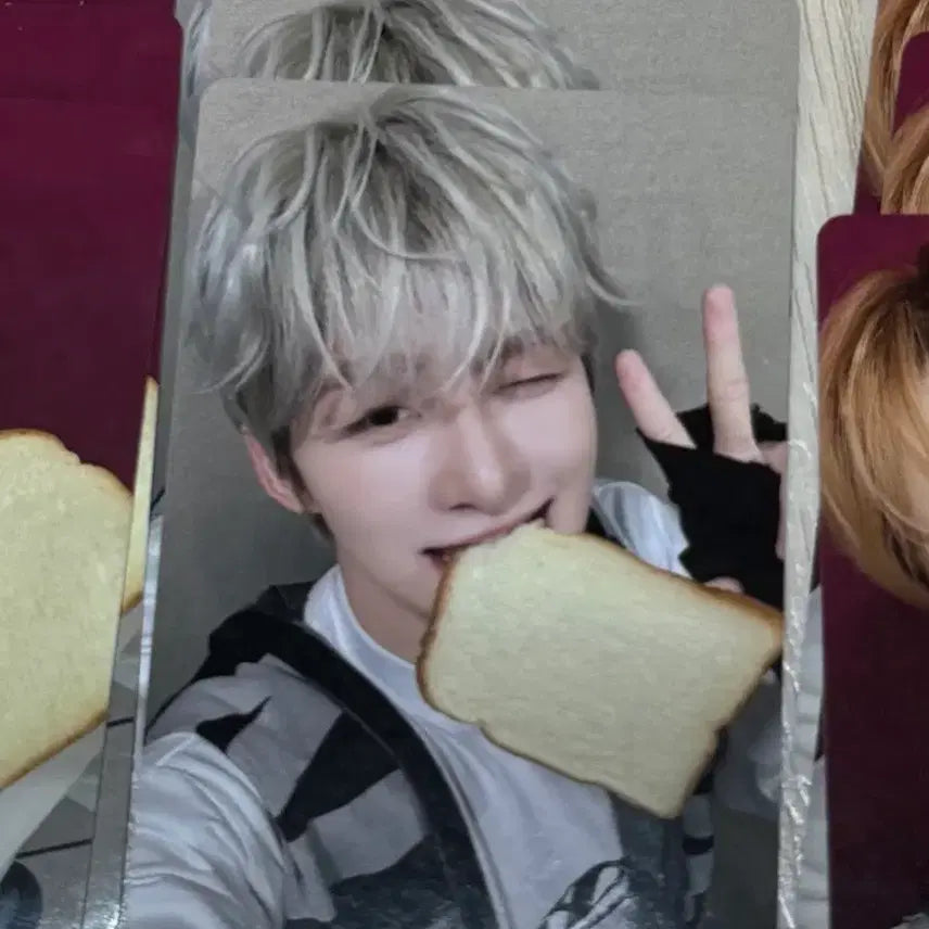 [BUNJANG] TWS SEVENTEEN Bread Photocard Jihoon / 투어스 식빵 포카 지훈