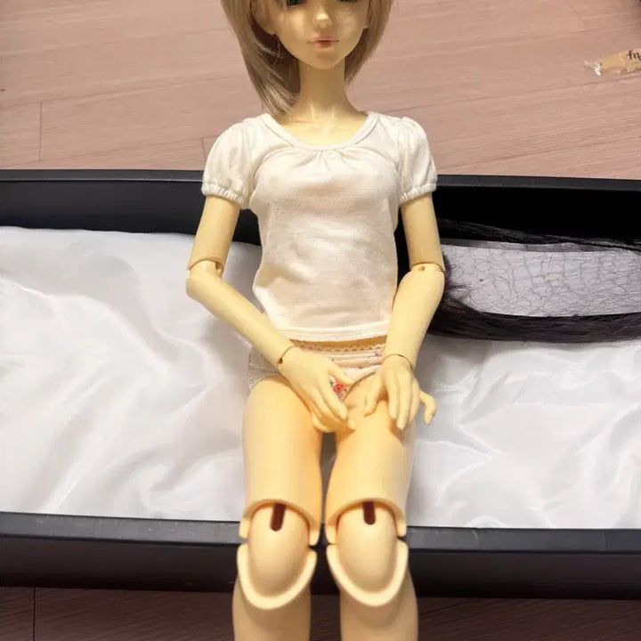[BUNJANG] Dreaming Doll BJD Doll / 드리밍돌 구체관절인형