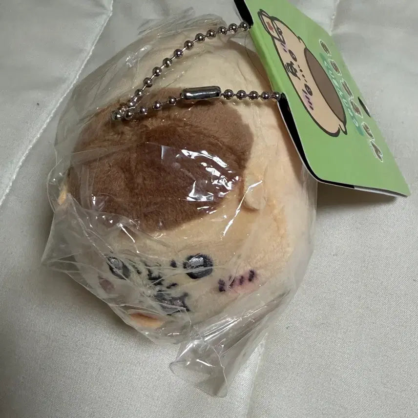 [BUNJANG] Chiikawa Manjyu Mochi Kororin Plush / 치이카와 먼작귀 쿠리만쥬 모찌코로린