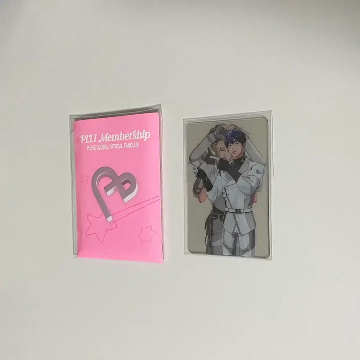 [BUNJANG] Play V 2nd Membership Kit Photocard + Transparent Photocard (Sealed) / (미개봉) 플레이브 플리 2기 멤버십 키트 포카+투명포카