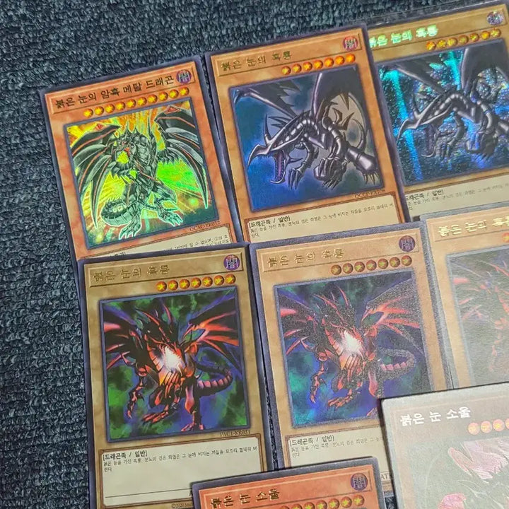 [BUNJANG] Yu-Gi-Oh! Red-Eyes Black Dragon Card Bundle Set / 유희왕 붉은 눈의 흑룡 카드 일괄