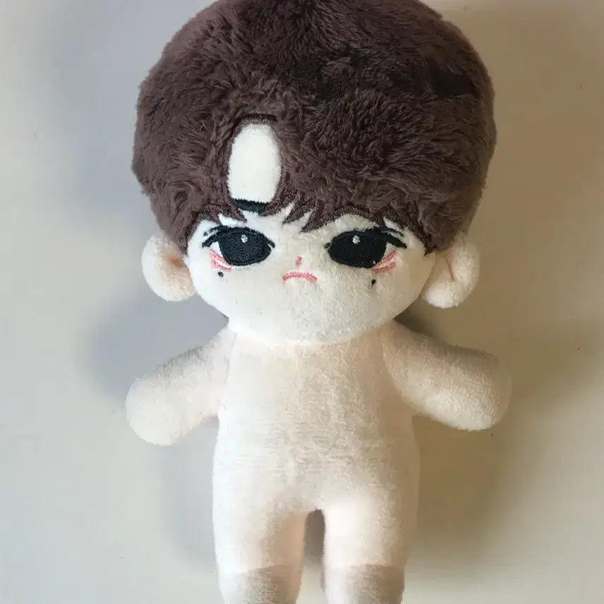 [BUNJANG] ZB1 Zhang Hao Plush Doll / 앤더블 장하오 솜인형