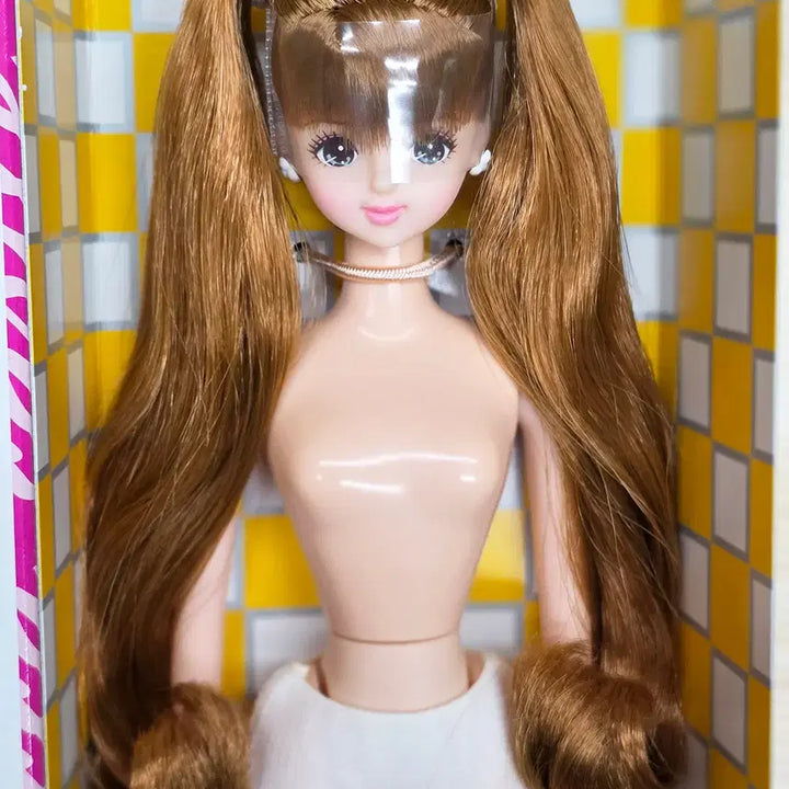 [BUNJANG] Licca Castle Jenny Friend Valentine Mirai Doll / licca castle 리카캐슬 제니프렌드 발렌타인 미라이