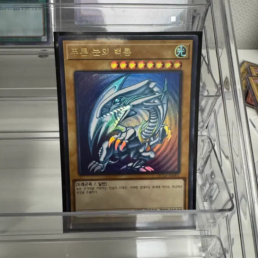 [BUNJANG] Yu-Gi-Oh! Booster Packs Set / 유희왕 푸백 세트
