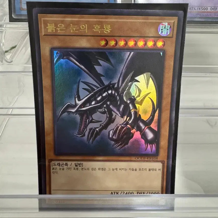 [BUNJANG] Yu-Gi-Oh! Booster Packs Set / 유희왕 푸백 세트