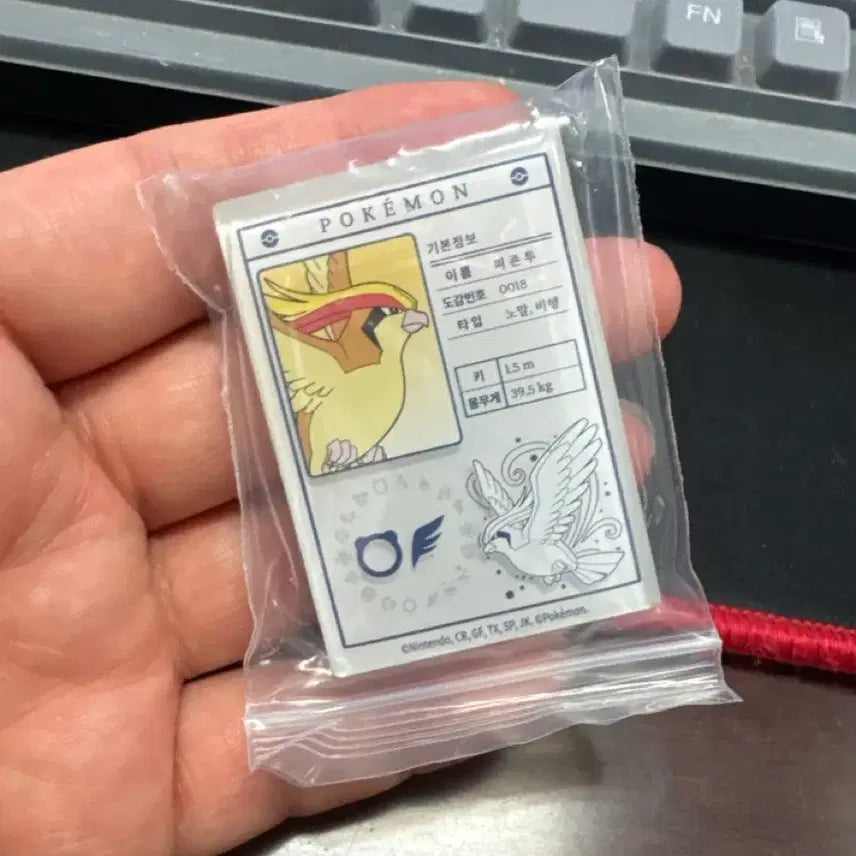 [BUNJANG] Lotte x Pokémon Pijon Two Magnet / 택배비포함) 롯데리아 포켓몬 피존투 마그넷