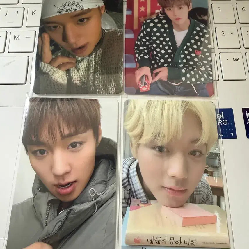 [BUNJANG] Park Ji Hoon Bundle Set Photocard / 박지훈 포카 일괄