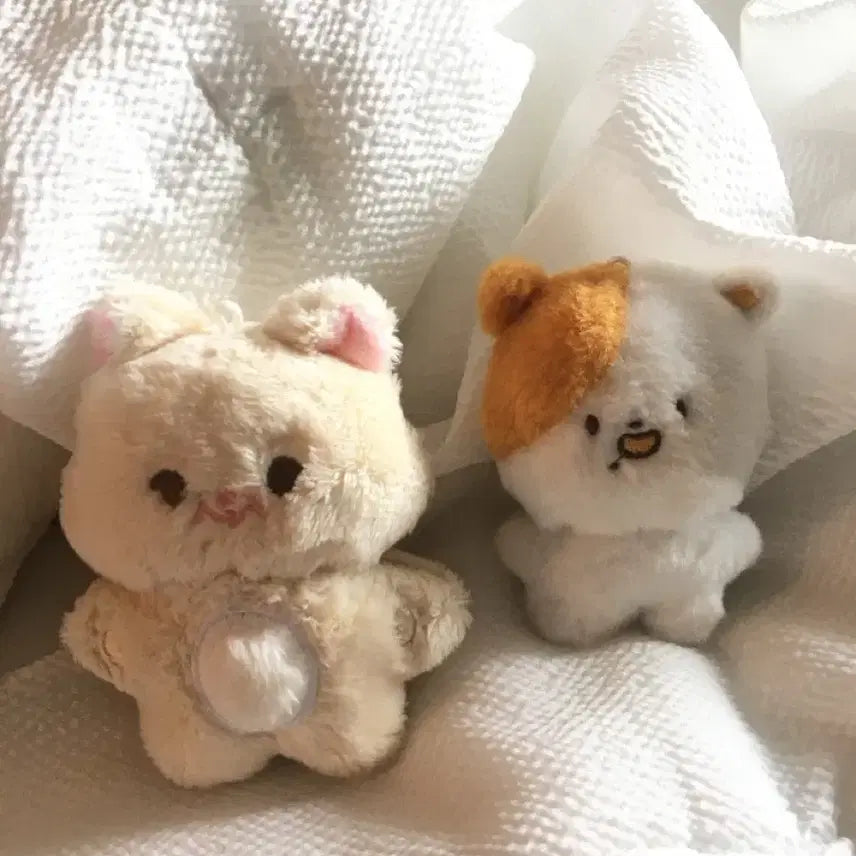 [BUNJANG] NCT Jisung Doll Set / 엔시티 지성 인형 판매합니다