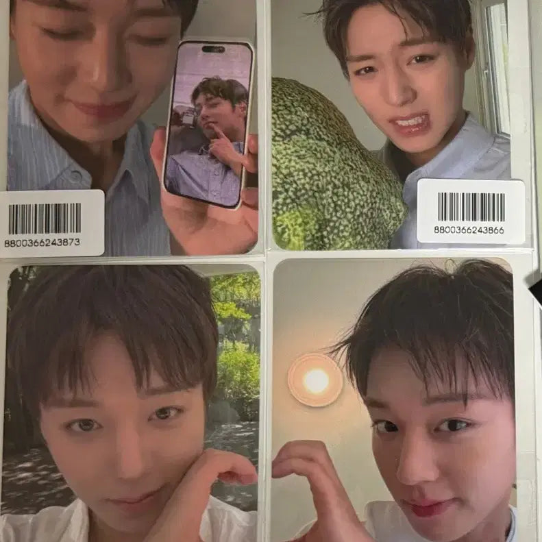 [BUNJANG] Park Ji Hoon FORMENT Photocard Bundle Set / 박지훈 포맨트 포토카드 (올리브영)