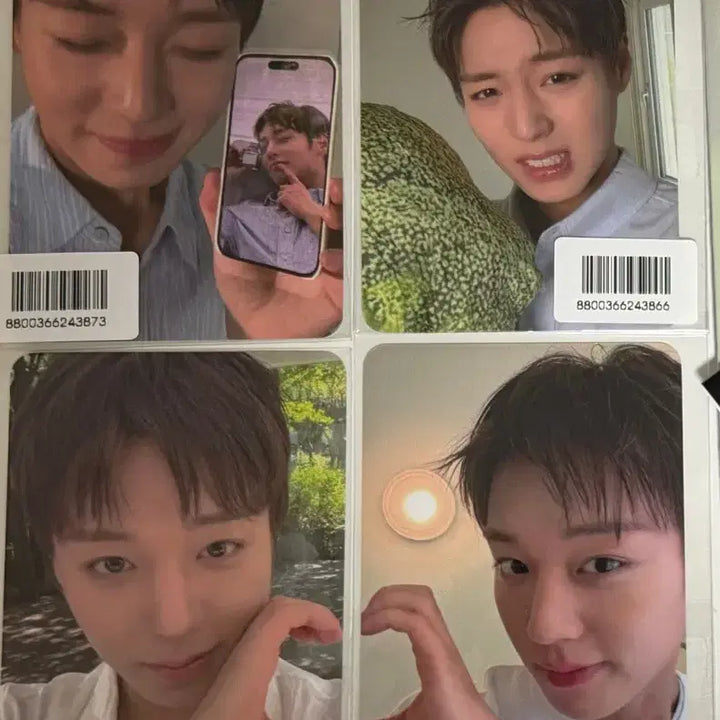 [BUNJANG] Park Ji Hoon FORMENT Photocard Bundle Set / 박지훈 포맨트 포토카드 (올리브영)