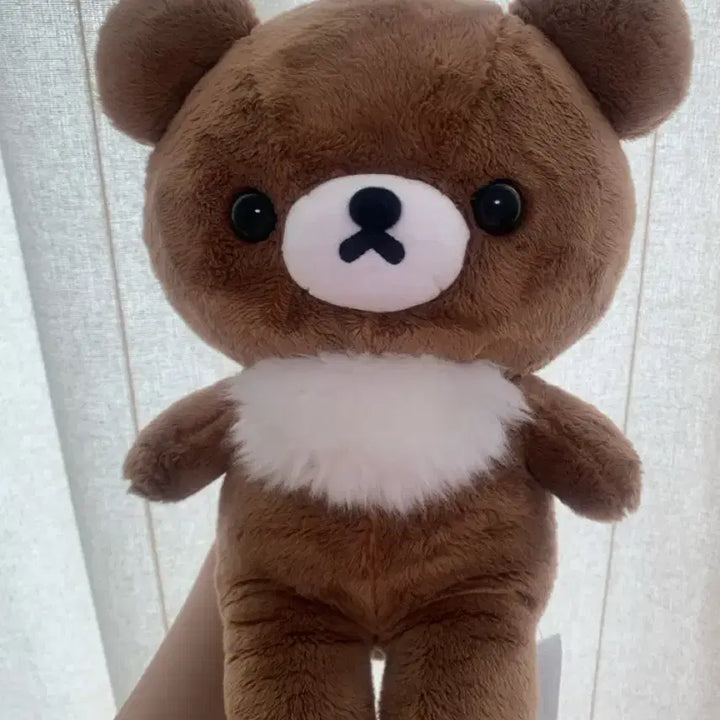 [BUNJANG] Chairoikoguma Medium Stuffed Doll / 택O) 차이로이코구마 중형 인형 M 산엑스 리락쿠마 방꾸