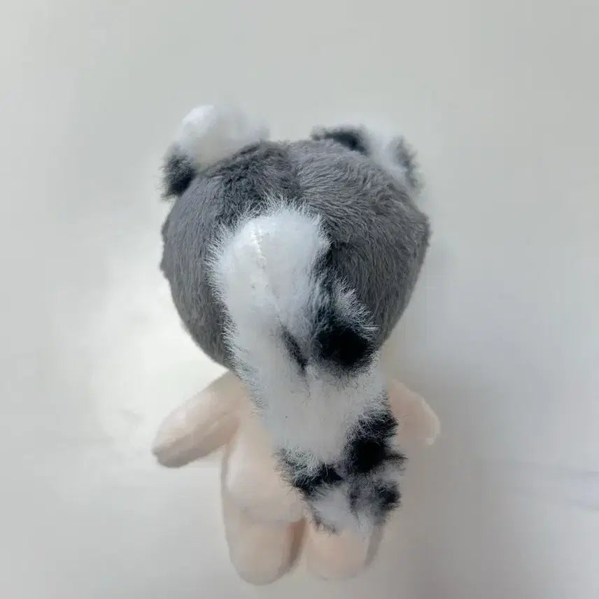 [BUNJANG] The Great Novel: Debut or Die Cheongryeo Plush Doll (15cm) / 데못죽 오브 재현 양도 청려 솜인형 솜깅 양도