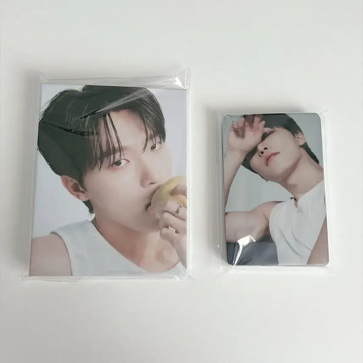 [BUNJANG] Seventeen Best Album Carat Ver. Dino Photocard / 세븐틴 베스트 앨범 캐럿반 디노 양도