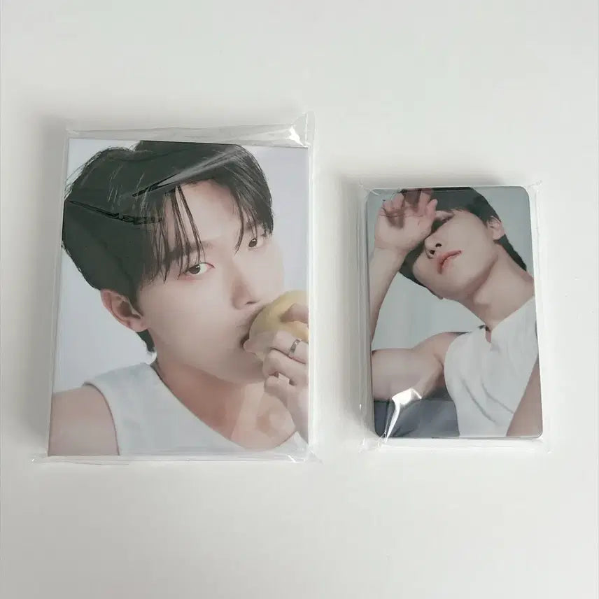 [BUNJANG] Seventeen Best Album Carat Ver. Dino Photocard / 세븐틴 베스트 앨범 캐럿반 디노 양도