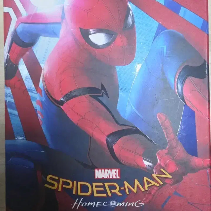 [BUNJANG] Hot Toys Spider-Man: Homecoming / 핫토이 스파이더맨 홈커밍