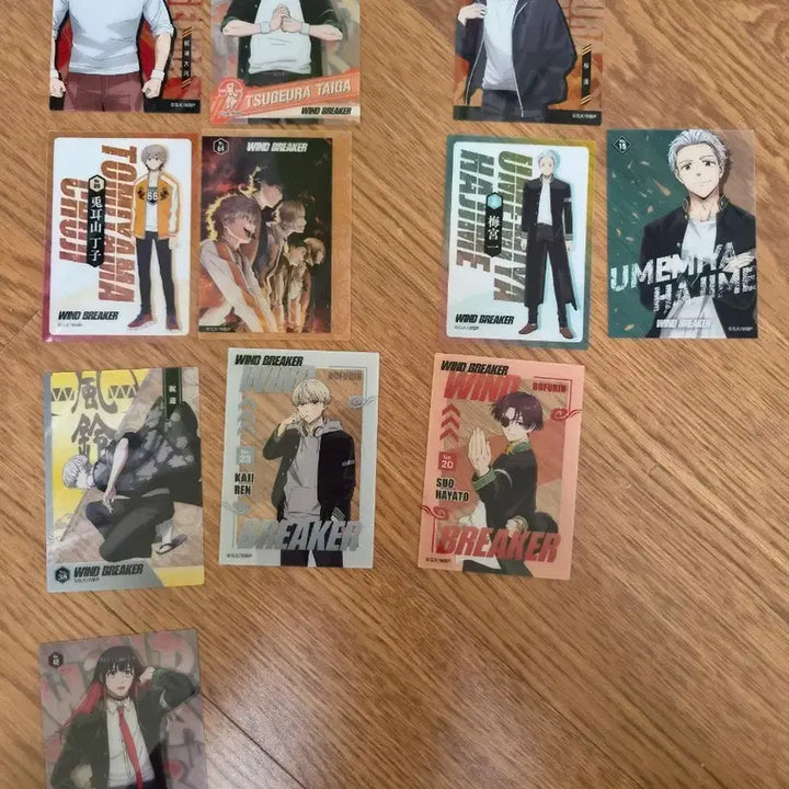 [BUNJANG] Windbreaker Card / 윈드브레이커 카드