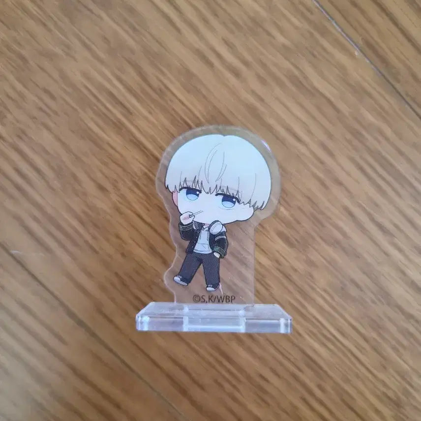 [BUNJANG] Windbreaker Card / 윈드브레이커 카드