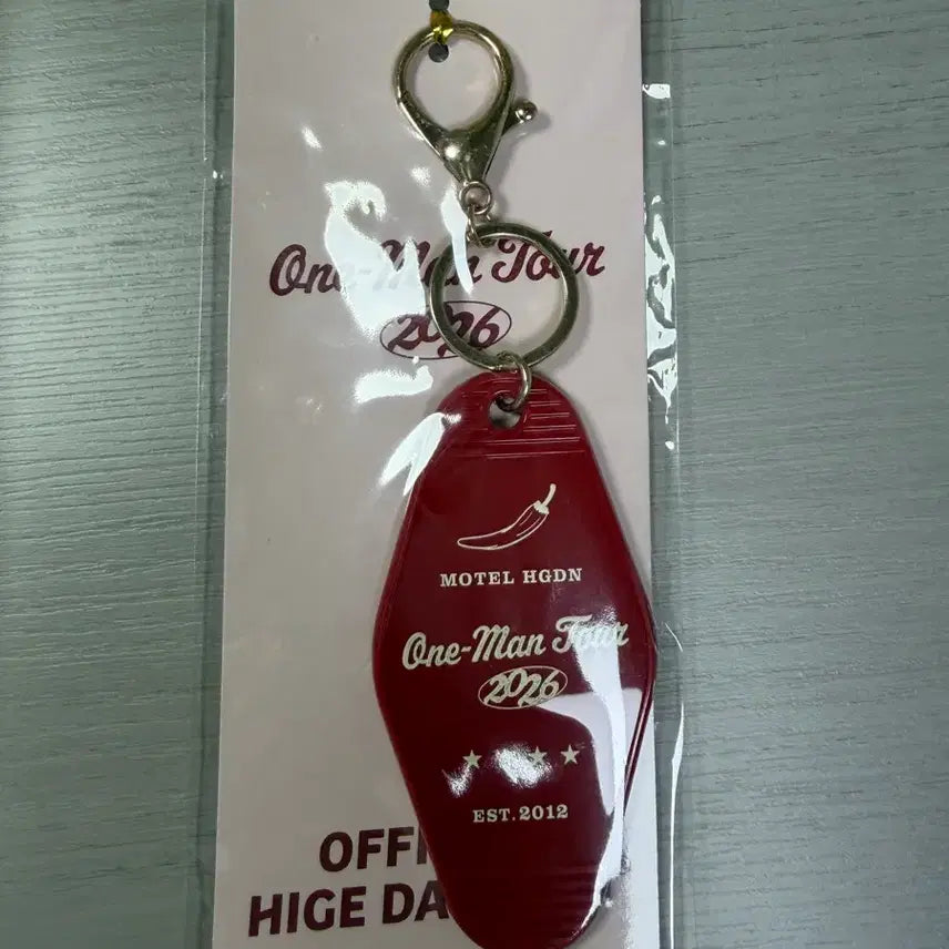 [BUNJANG] HIGHDNDISM Asia Tour Official Goods Keyring Seoul Version / 오피셜 하이그 댄디즘 아시아 투어 굿즈 키링
