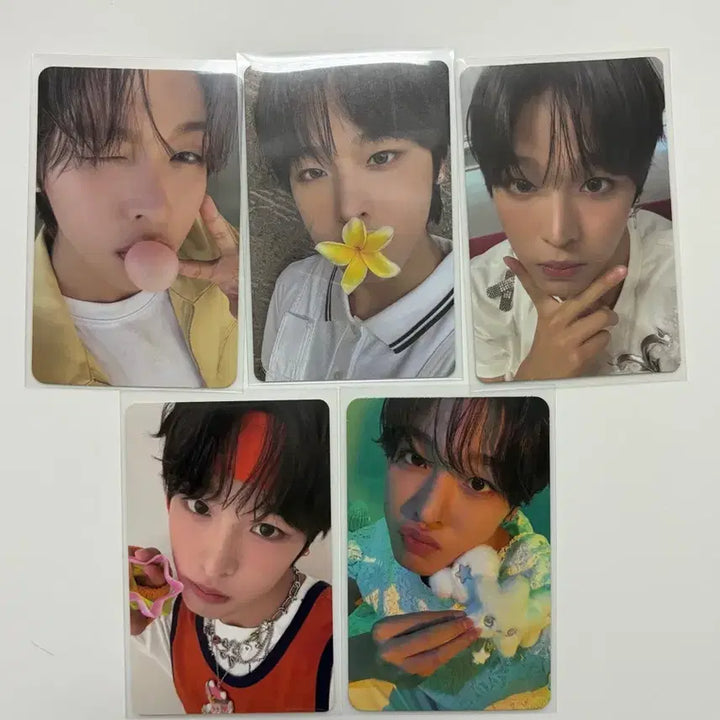 [BUNJANG] Riku Bundle Set Photocard / 리쿠 포카 일괄