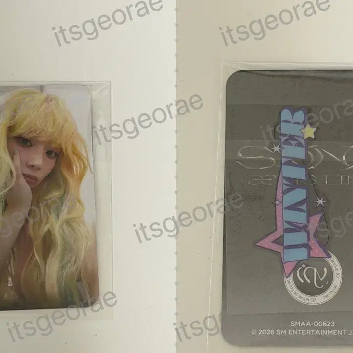 [BUNJANG] Aespa Winter Japan Dome Tour Membership Pre-sale Lottery Photocard / 에스파 윈터 일본 돔투어 입회 특전 포카 양도