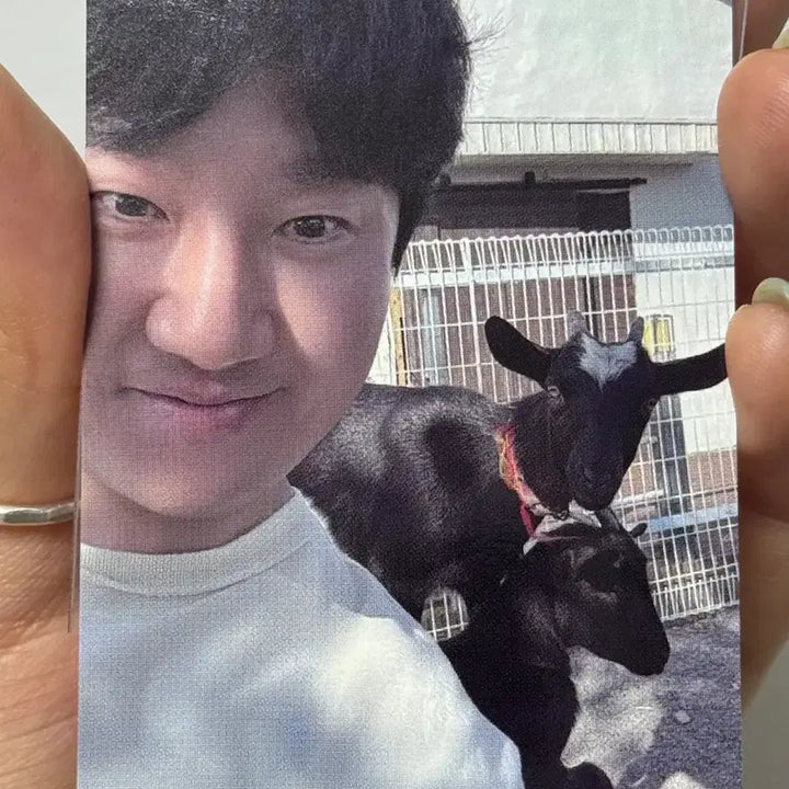 [BUNJANG] Epik High Tukutz Photocard / 에픽하이 투컷 포카 양도
