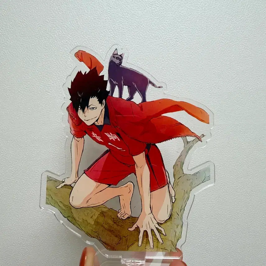 [BUNJANG] Haikyuu!! Tetsuro Kuroo Bundle Acrylic Stand &amp; Keychain / 반택포) 하이큐 쿠로오 일괄 어깨쿵 꾸벅가챠 팔버스 아크릴스탠드 마스코트 키링