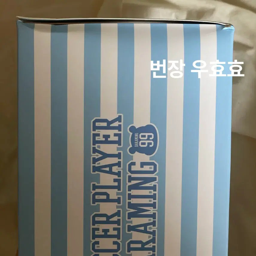 [BUNJANG] SHINee MINHO Daraming 20cm Doll (Sealed) / 샤이니 민호 (SHINee MINHO) 다라밍 20cm 인형 미개봉 판매