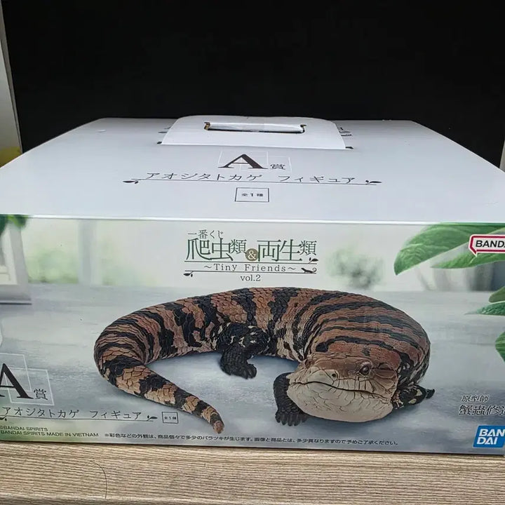[BUNJANG] Tiny Friends vol.2 Blue-tongued Skink Figure (A Prize) / A상 아오지타도마뱀 피규어