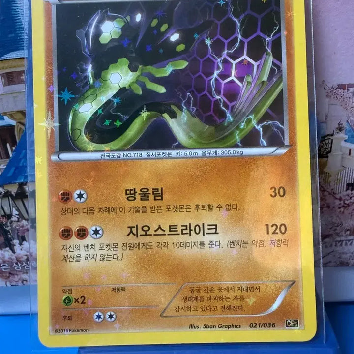 [BUNJANG] Pokemon Card 2016 Zygarde Holo / 포켓몬카드 2016 지가르데 홀로