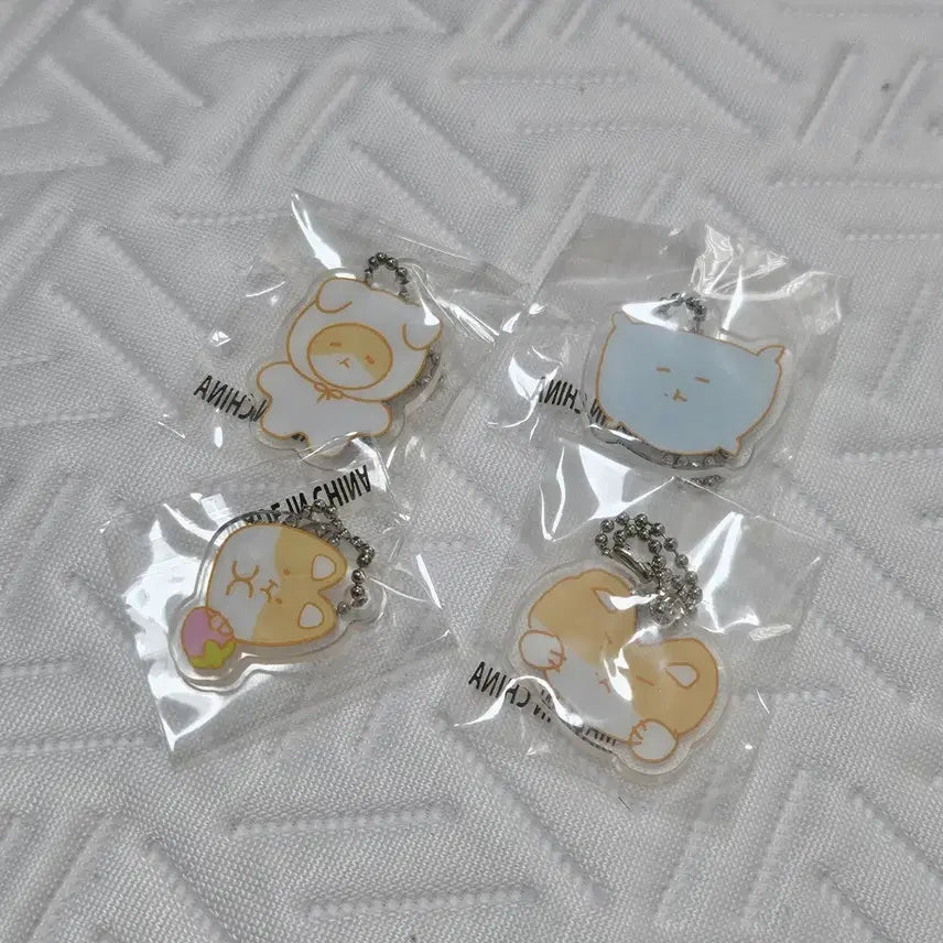 [BUNJANG] Baekhyun Terry Gacha Acrylic Keyring Set / 백현 터래기 가챠 아크릴키링 세트 -4