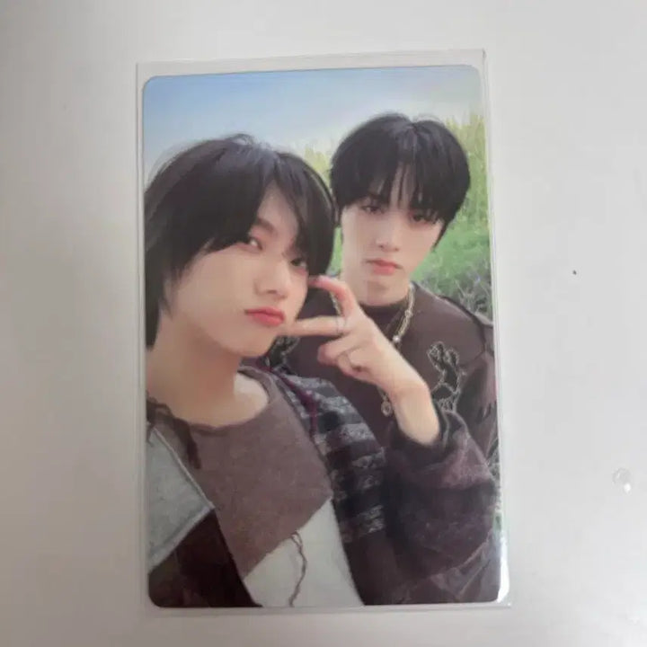 [BUNJANG] Seongho Taesan Unit Photocard / 성호 태산 유닛 포카 why 앨포