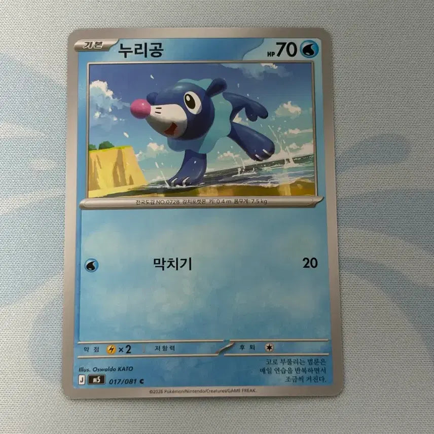 [BUNJANG] Pokemon Card Chandelure / 포켓몬카드 누리공 c