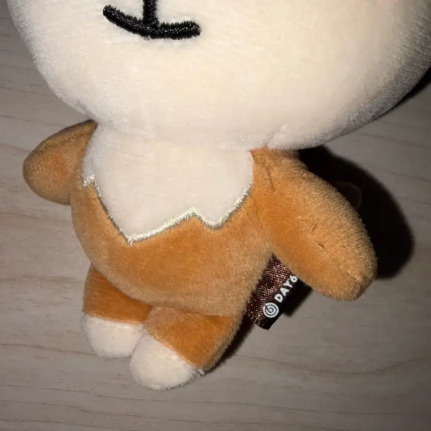 [BUNJANG] DAY6 Denny&
