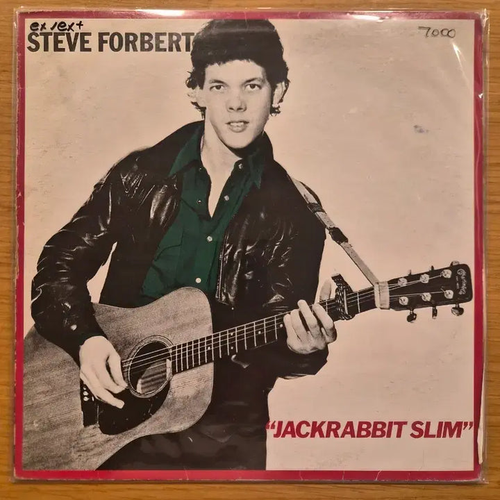 [BUNJANG] Steve Forbert LP / Steve forbert lp