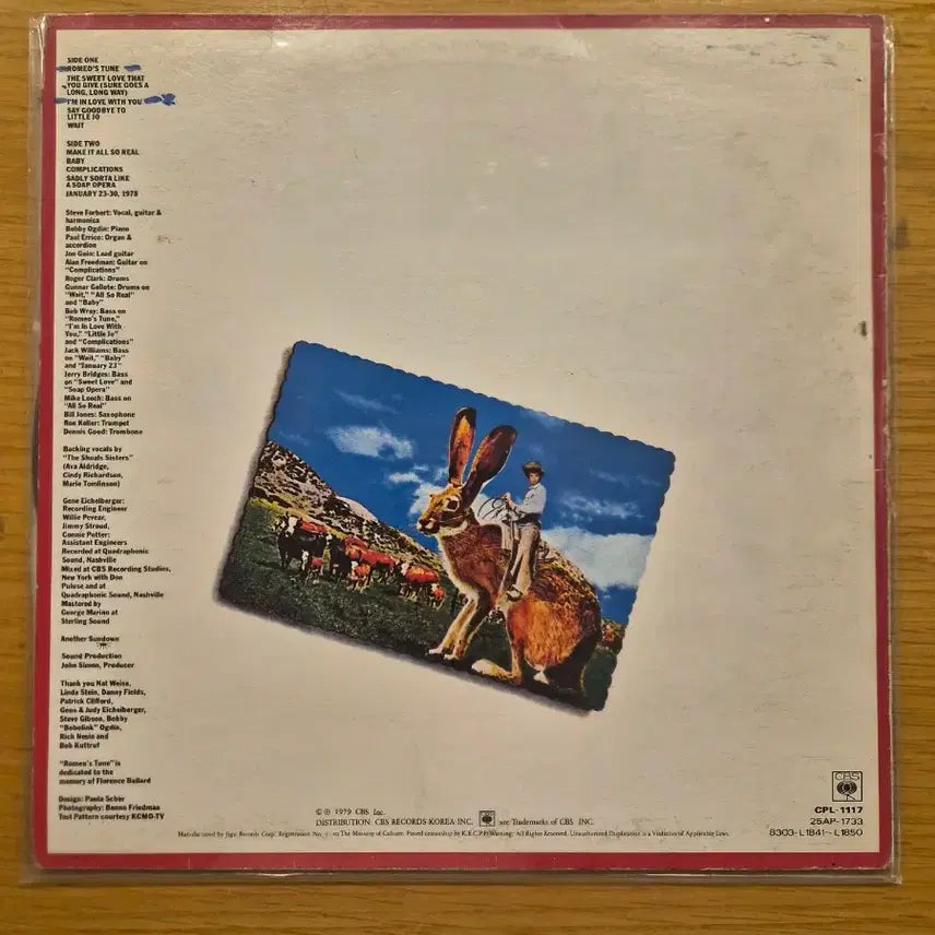 [BUNJANG] Steve Forbert LP / Steve forbert lp