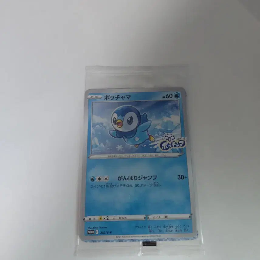 [BUNJANG] Pokemon Piplup Card Bundle (12 Cards) / 포켓몬 카드 팽도리 12장