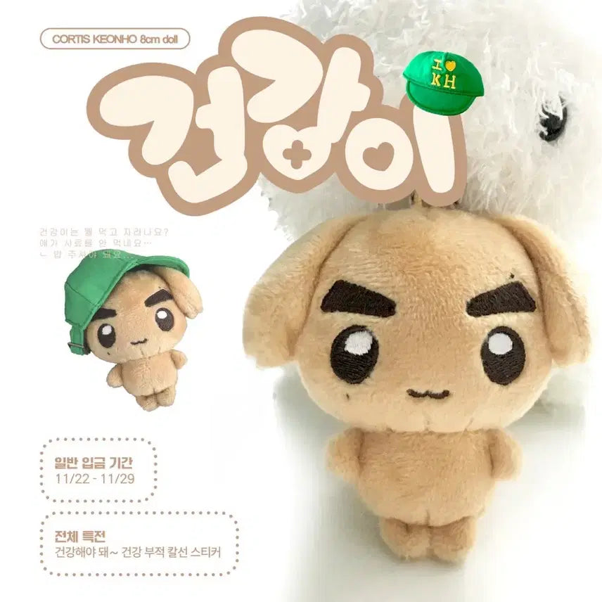 [BUNJANG] Kortis Geonho Doll (Health) / 코르티스 건호 인형 건강이 양도합니다