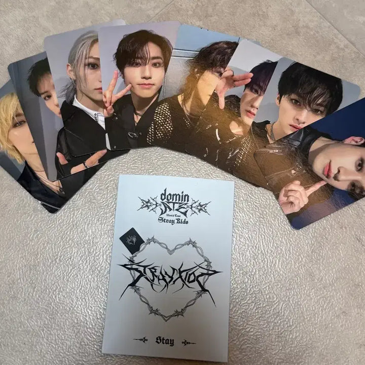 [BUNJANG] Stray Kids Dominate World Tour Stay Zone Photocard Set / straykids 스트레이키즈 스키즈 dominate world tour stay zone 도미네이트 월드투어 스테이 존 포카 세트 방찬 리노 창빈 현진 한 필릭스 승민 아이엔