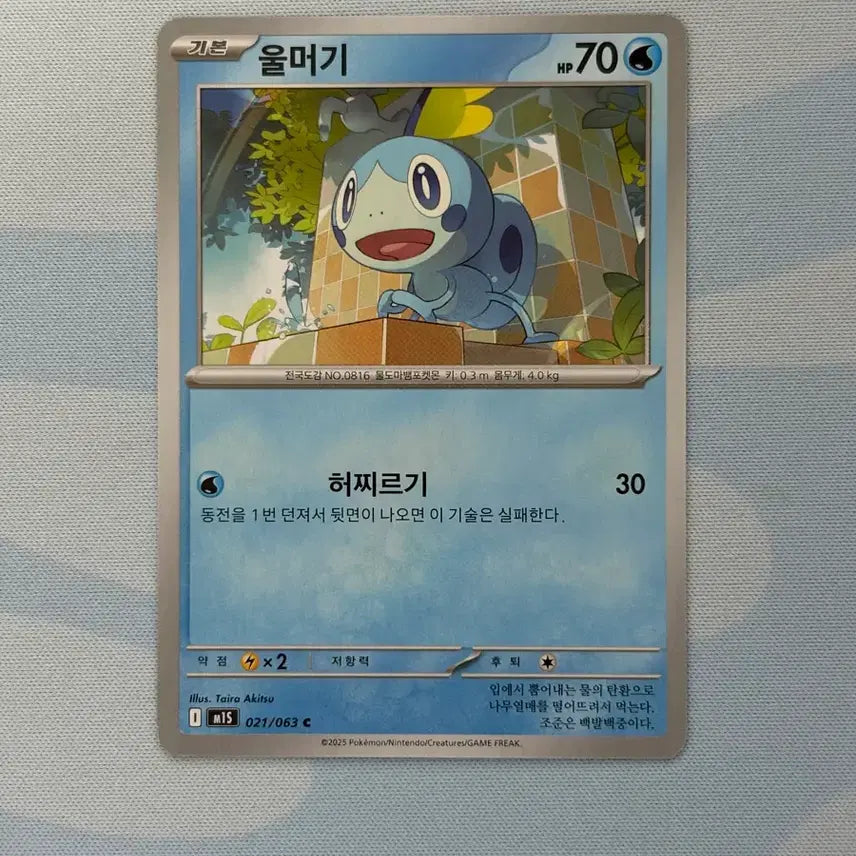 [BUNJANG] Pokemon Card Dewgong / 포켓몬카드 울머기 c