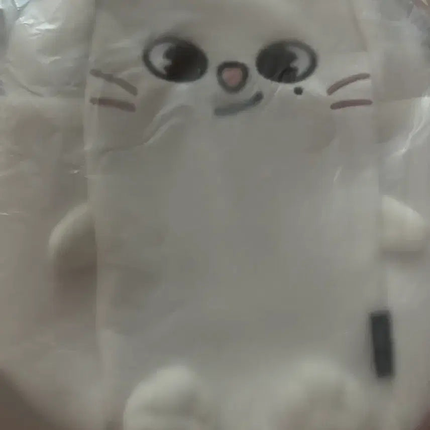 [BUNJANG] Stray Kids Run Away Japan MD Pouch / 지니렛 응원봉 파우치 스키즈 런잇 일본 엠디 md 가방 재팬