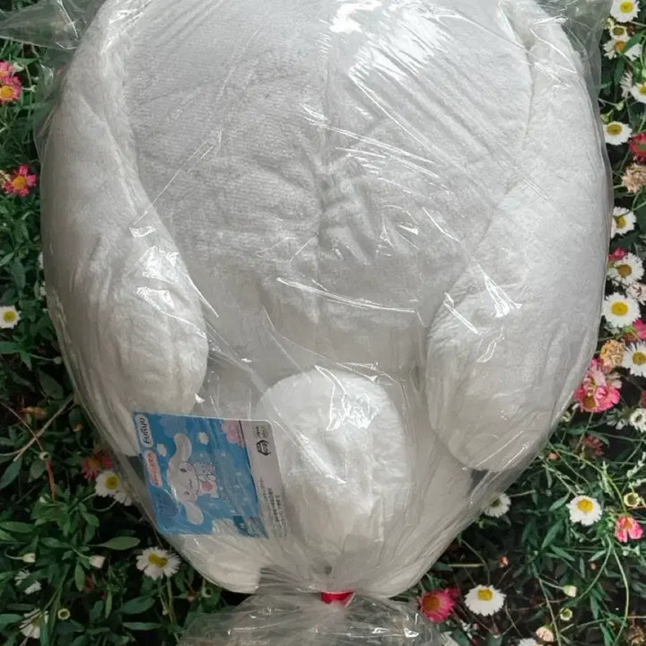 [BUNJANG] FURYU Cinnamoroll Plush - "Hug More!" Big Plush (New) / 후류 시나모롤 더 안아! Big 누이 새상품