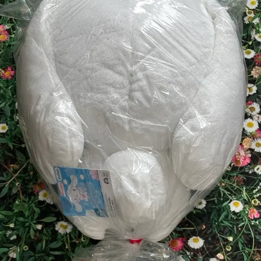 [BUNJANG] FURYU Cinnamoroll Plush - "Hug More!" Big Plush (New) / (마지막할인)후류 시나모롤 더 안아! Big 누이 새상품